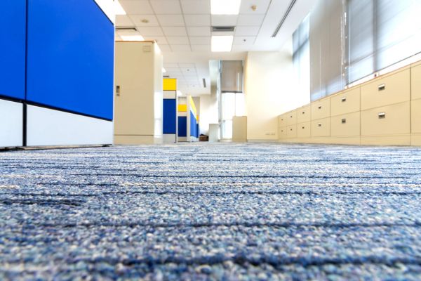 Business Carpet Cleaning in Santa Maria