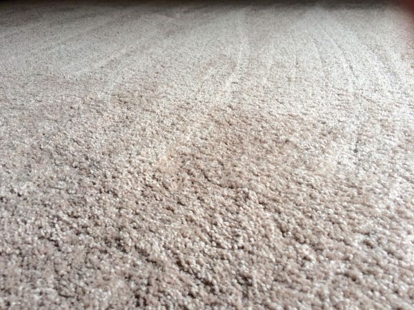 Plush Carpet Installation in Santa Maria